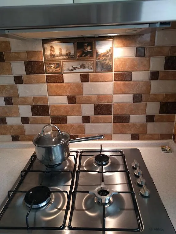 Sheptytskoho 24 Apartments Kiev Ukrayna